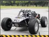 FS Feishen Desert Truck 1/10 Brushless Remote Control Short Truck Model RC high-speed remote control model car details Picture